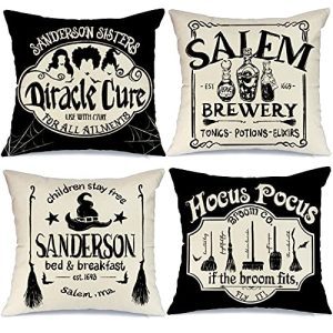 Halloween Pillow Covers