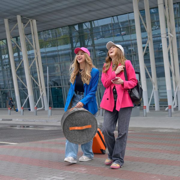 2 Pack Foldable Felt Hat Storage Box